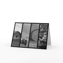Cattle Farm Collage Thank You / Greeting Cards