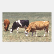 Cattle Farm Rectangular Sticker