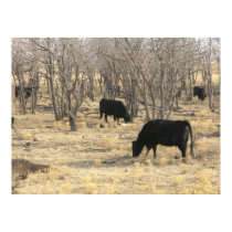 Cattle In Dormant Trees posters