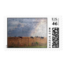 Cattle Nirvana postage by dallasphotoworks Cattle Nirvana postage