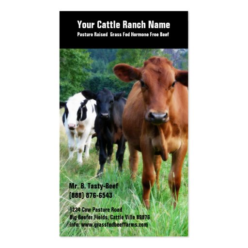 Cattle on Pasture Business Cards (front side)