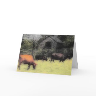 Cattle Pasture card