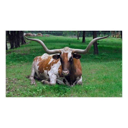 Cattle Rancher Farmer  Business Card