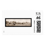 Cattle Ranching AZ Photo 1912 Stamp