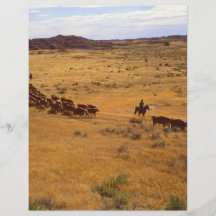 Cattle roundup personalized flyer