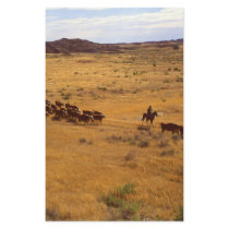 Cattle roundup stationery by GPArkive Cattle roundup stationery