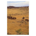 Cattle roundup custom stationery
