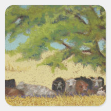 cattle sticker