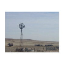 Cattle,Windmill and Ghost postcards