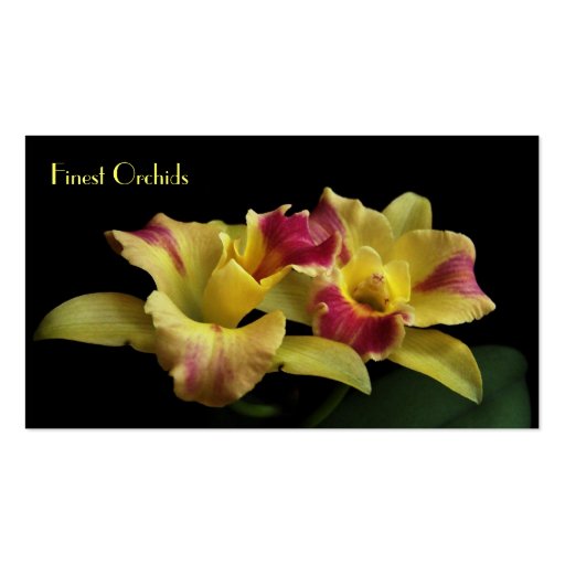 Cattleya Orchid Business Cards