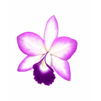 Cattleya Orchid T Shirt by twopurringcats