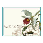 Cattleya Orchid Teal Blue - Save the Date Postcard