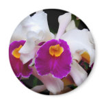 flowers, annuals, perrenials, orchid, orchids,