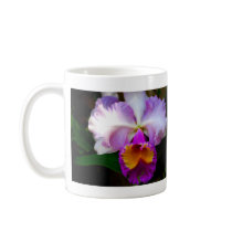 Cattleya Orchid - White/Purple/Yellow mugs by almedic104 Cattleya Orchid - White/Purple/Yellow mugs