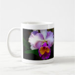 Cattleya Orchid - White/Purple/Yellow Mugs