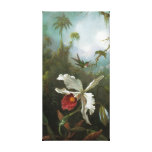 Cattleya Orchid Wrapped Canvas Canvas Print