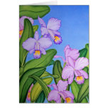 cattleya, orchids, botanical, flora, flower,