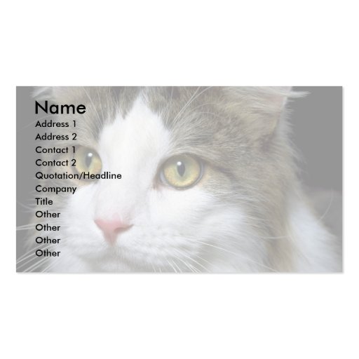 Catty Business Card Template (front side)