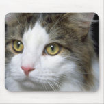 Catty Mousepads