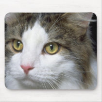 Catty mousepads