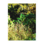 Catus Garden Art Print Postcards