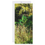 Catus Garden Art Print Rack Card Template