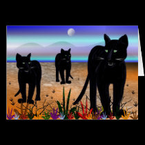 CATWALK cards
