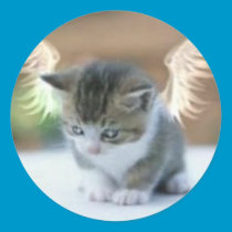Catwing Sticker