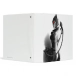 Catwoman Key Art binders