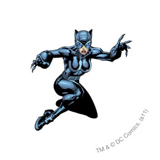 Official DC Comics Merchandise - Catwoman Official DC Comics Merchandise - Catwoman