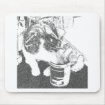 catyums
