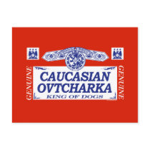 Caucasian Ovtcharka Postcard