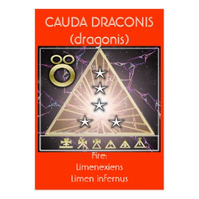 cauda draconis