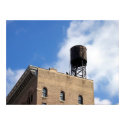 Caught Atop a New York Roof posters