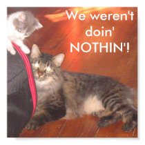 Caught In The Act posters