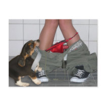 Caught with My Pants Down Again, Cute Puppy Dog postcards