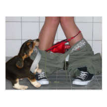 Caught with My Pants Down Again, Cute Puppy Dog Postcards