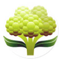 Cauliflower stickers