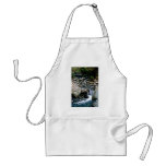 Caution Creek, Fox Glacier aprons