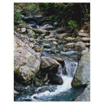 Caution Creek, Fox Glacier Custom Flyer