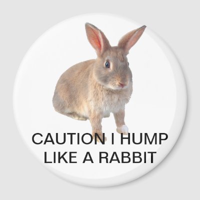 Rabbit Hump