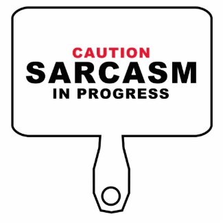 Caution Sarcasm in Progress Sign Photo Sculptures