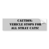 Caution: Vehicle stops for all stray cats! Bumper Sticker
