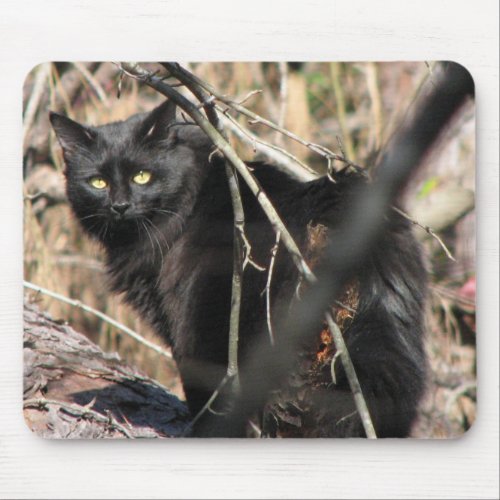 Cautious Star Noir Cat mousepad
