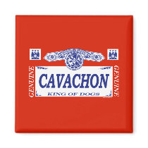 Cavachon magnets