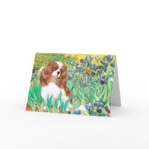Cavalier 2 (Bl) - Irises cards