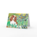 Cavalier 2 (Bl) - Irises cards