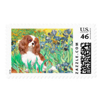 Cavalier 2 (Bl) - Irises Postage Stamp