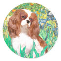 Cavalier 2 (Bl) - Irises stickers