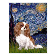Cavalier 2 (Bl) - Starry Night Post Cards